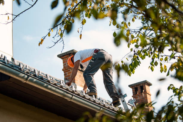 Best Storm Damage Roof Repair  in Bidwell, OH