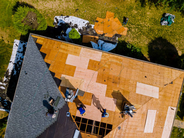 Best Roof Repair Services  in Bidwell, OH