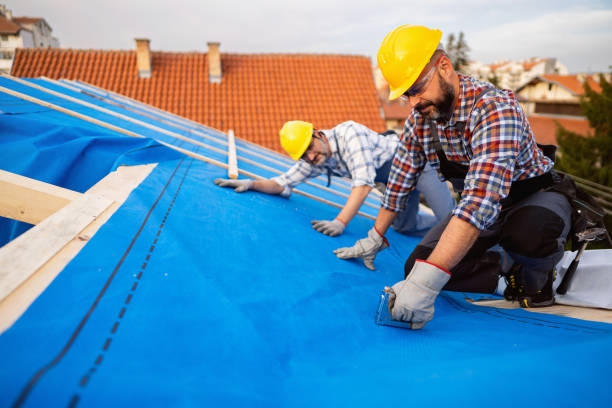 Best Sealant for Roof  in Bidwell, OH