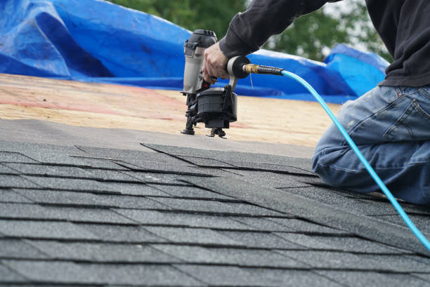 Best Metal Roofing Contractor  in Bidwell, OH
